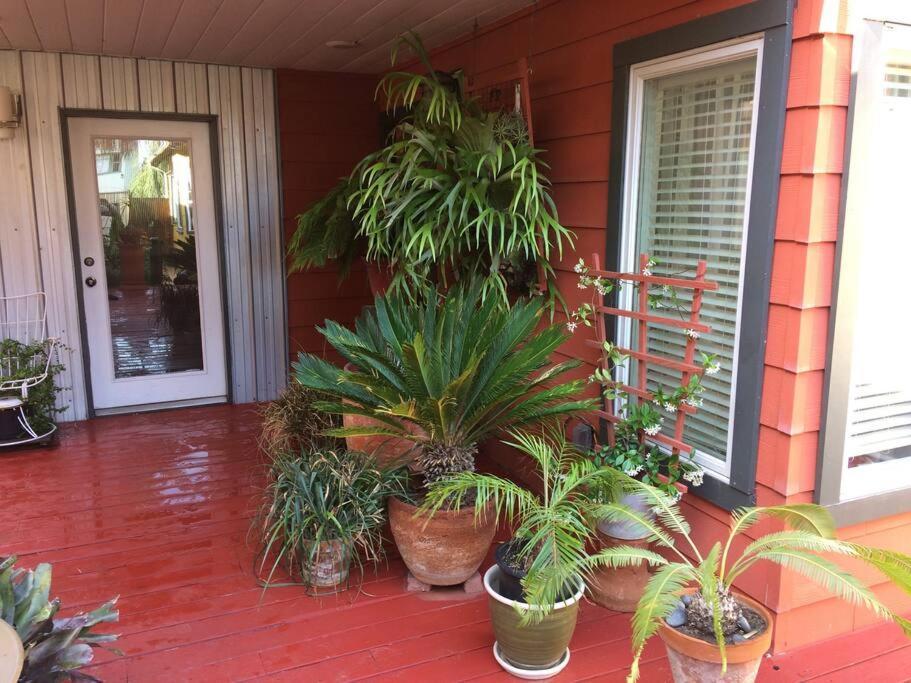 Serenity House Near Gaslamp, San Diego Zoo & Petco Luaran gambar
